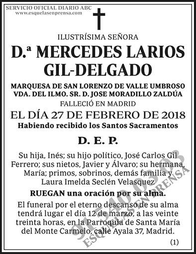 Mercedes Larios Gil-Delgado